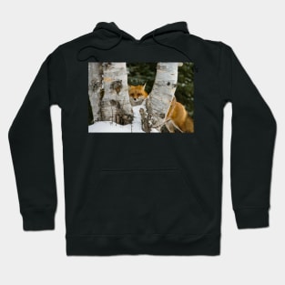 Red Fox Hoodie